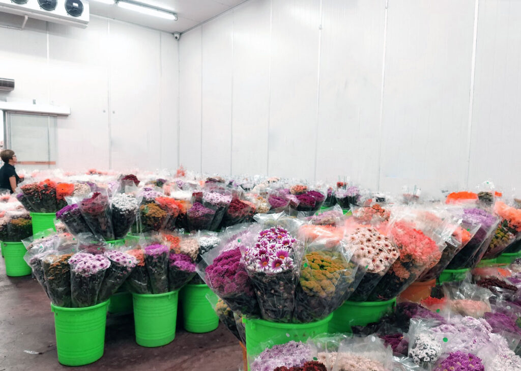 Câmara fria para flores: conserve e exponha seus arranjos com eficiência e economia. Projetos personalizados com a qualidade da Thermcam.